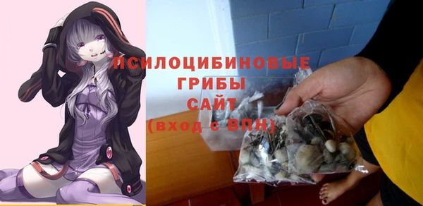 метадон Арсеньев