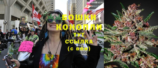 трава Армянск