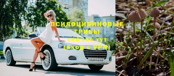 таблы Сосновка