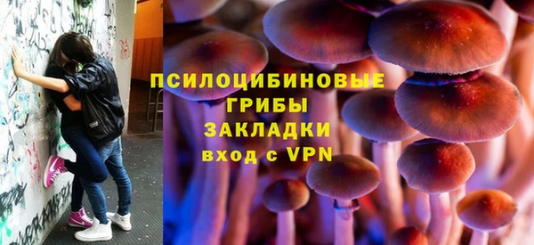метадон Арсеньев