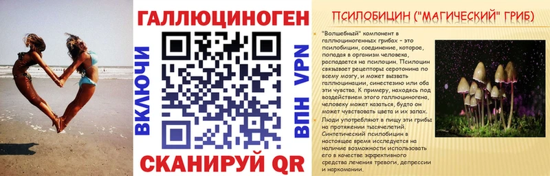 Псилоцибиновые грибы Cubensis Никольское