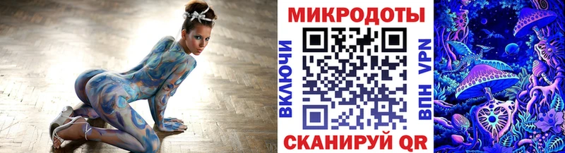 hydra ТОР Никольское Псилоцибиновые грибы Psilocybine cubensis
